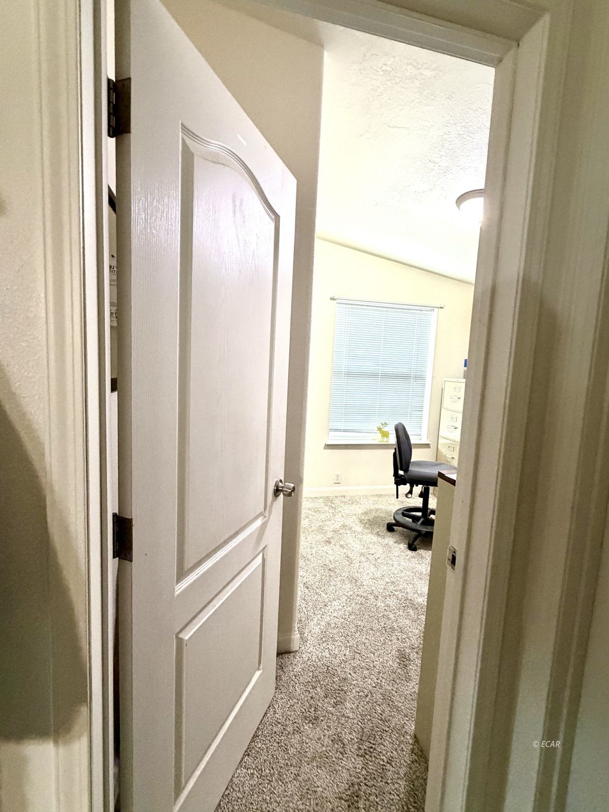 164 Martin Avenue Property Photo 29