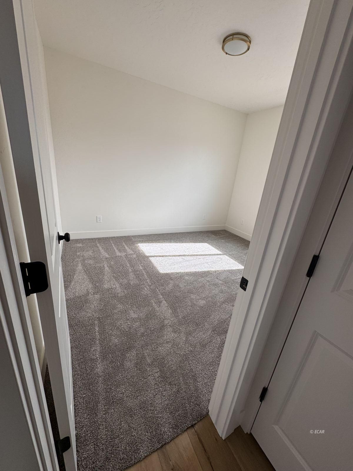 2909 Aria Way Property Photo 8