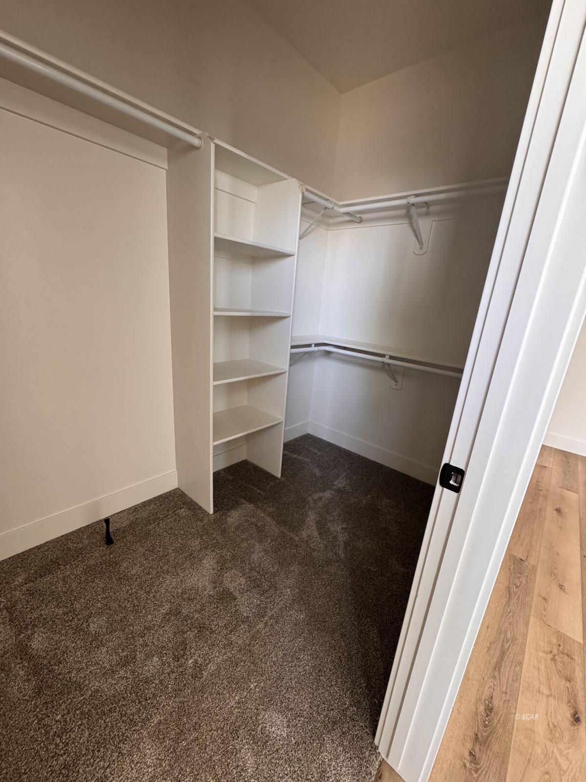 2909 Aria Way Property Photo 17