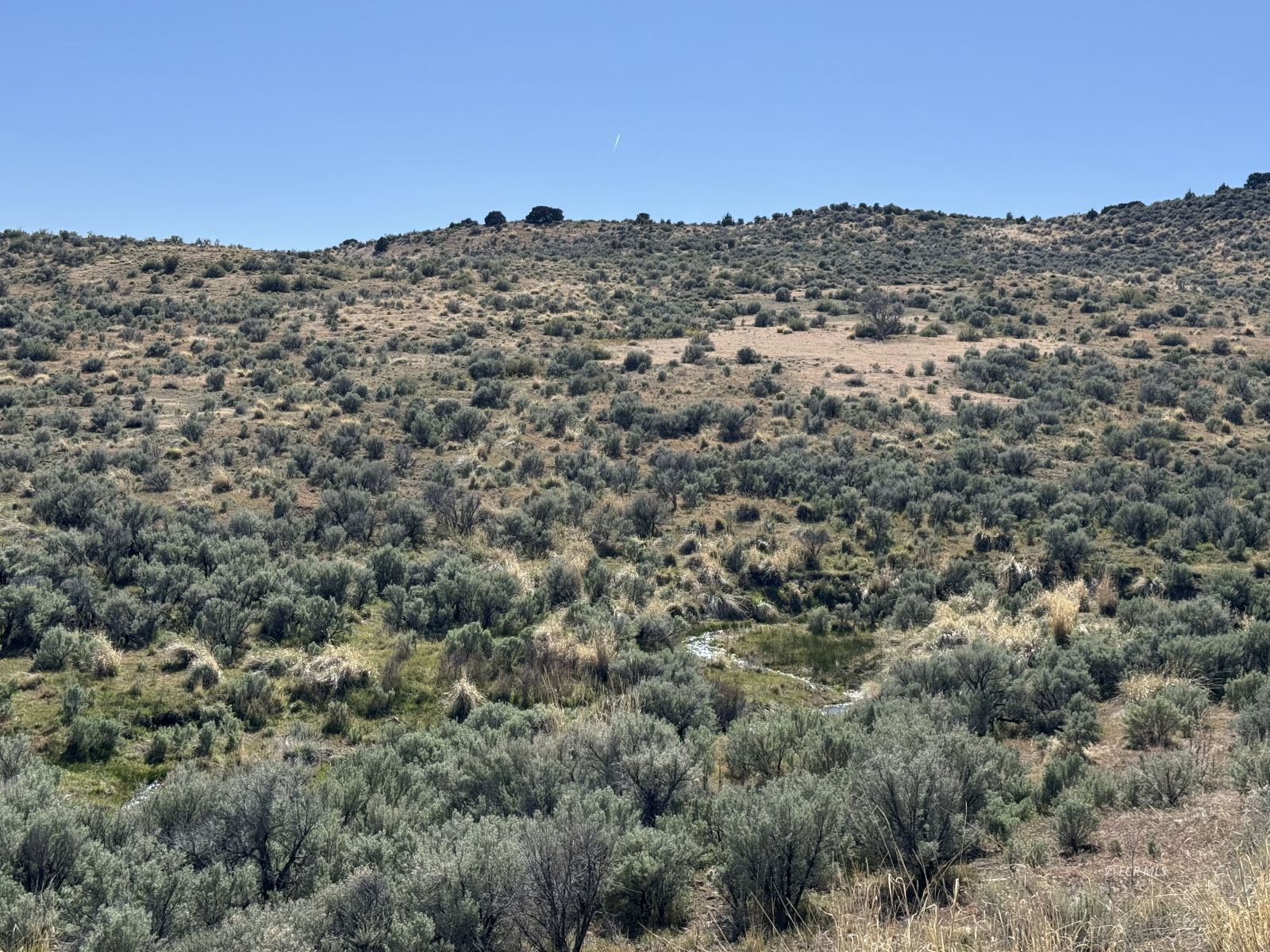 Snobowl Road Property Photo 9