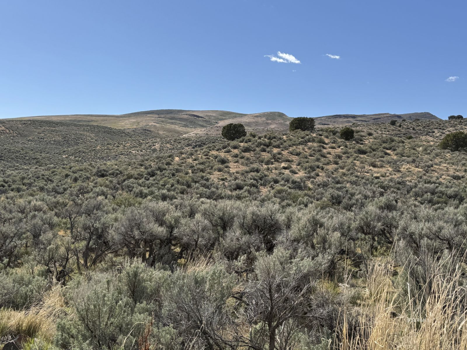 Snobowl Road Property Photo 18