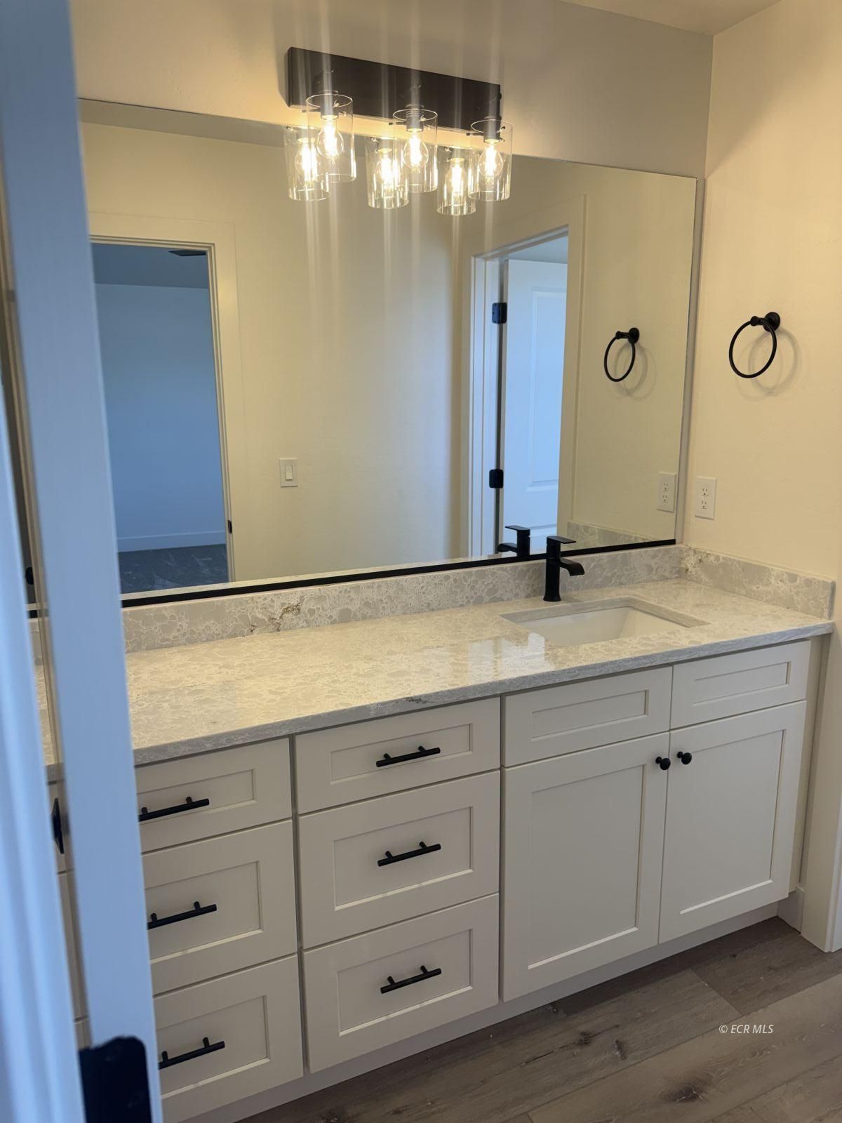 2918 Aria Way Property Photo 29