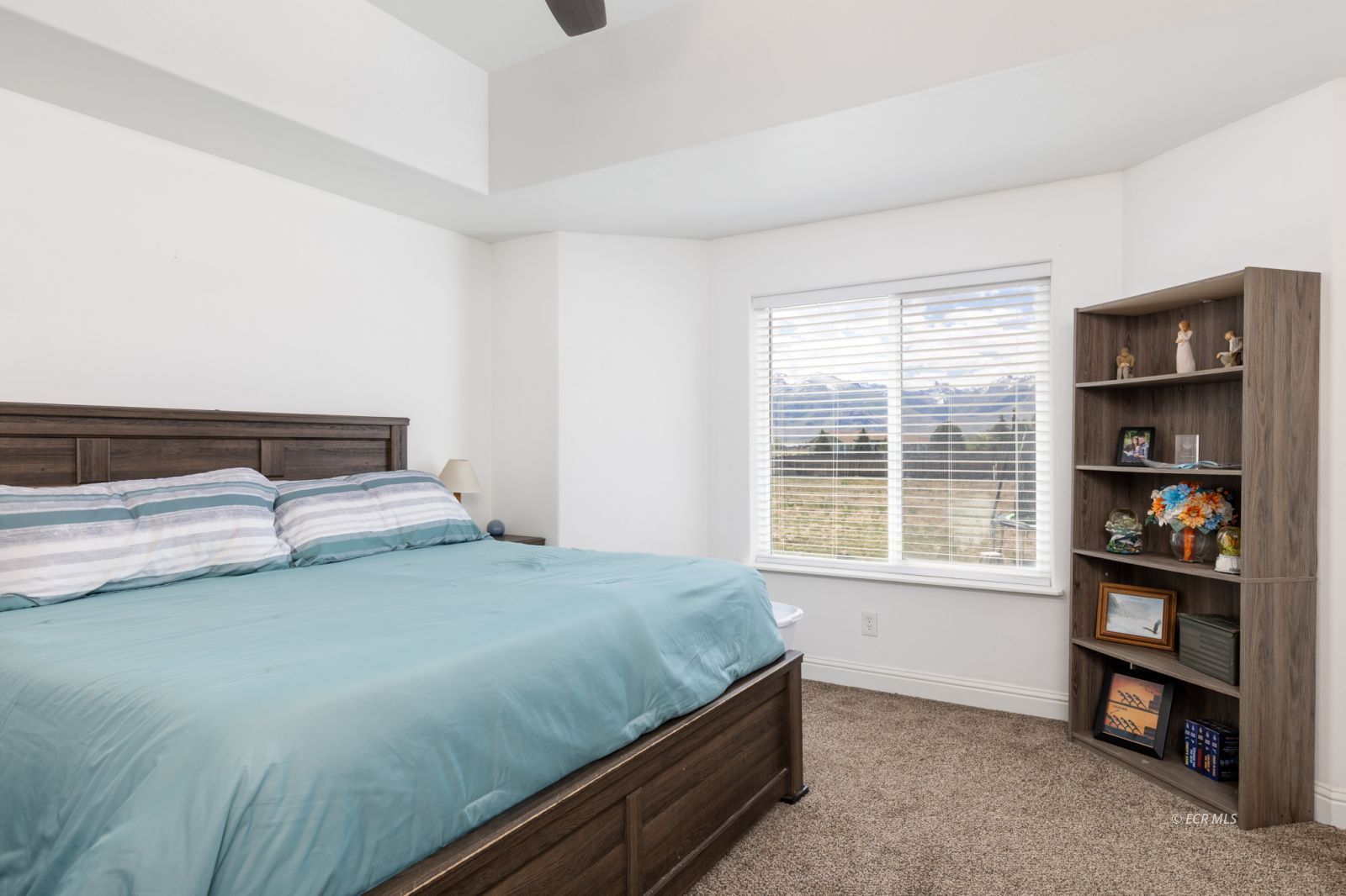 878 Abeyta Drive Property Photo 12