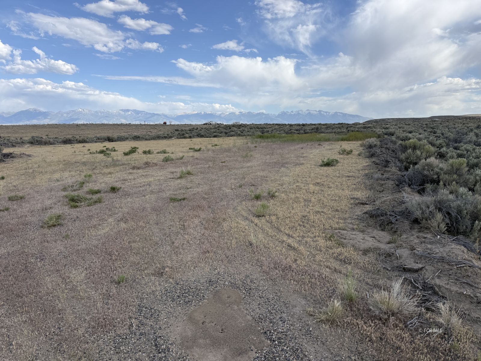 TBD Jacinto Drive Property Photo 1