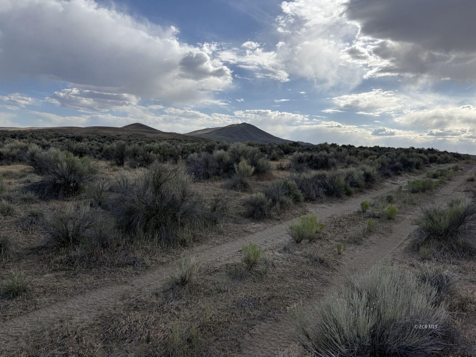 Tbd Jacinto Drive Property Photo 3