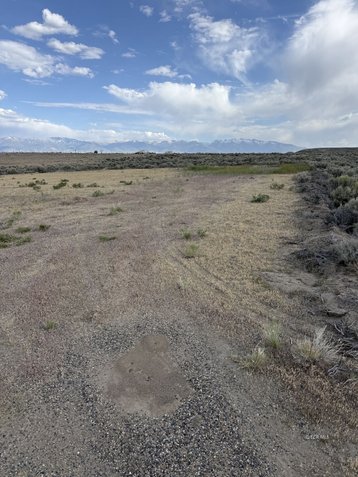 Tbd Jacinto Drive Property Photo 4