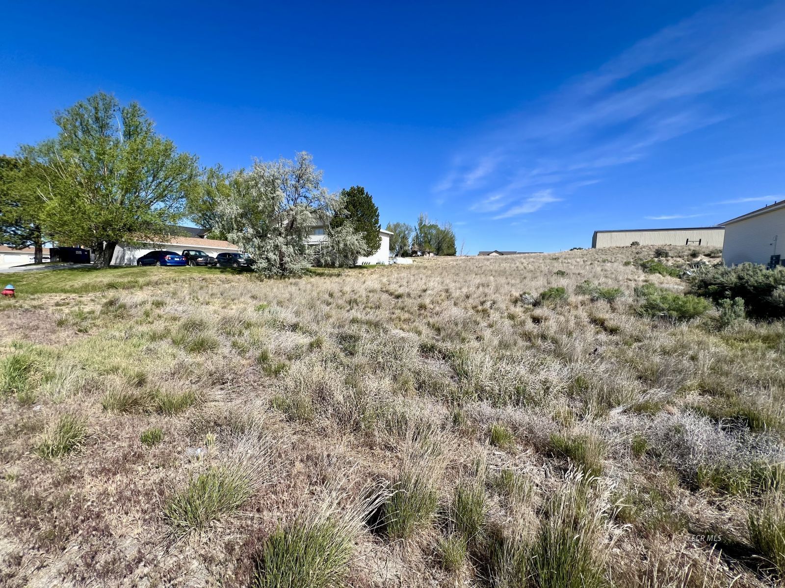 321 Spring Creek Parkway Property Photo 4