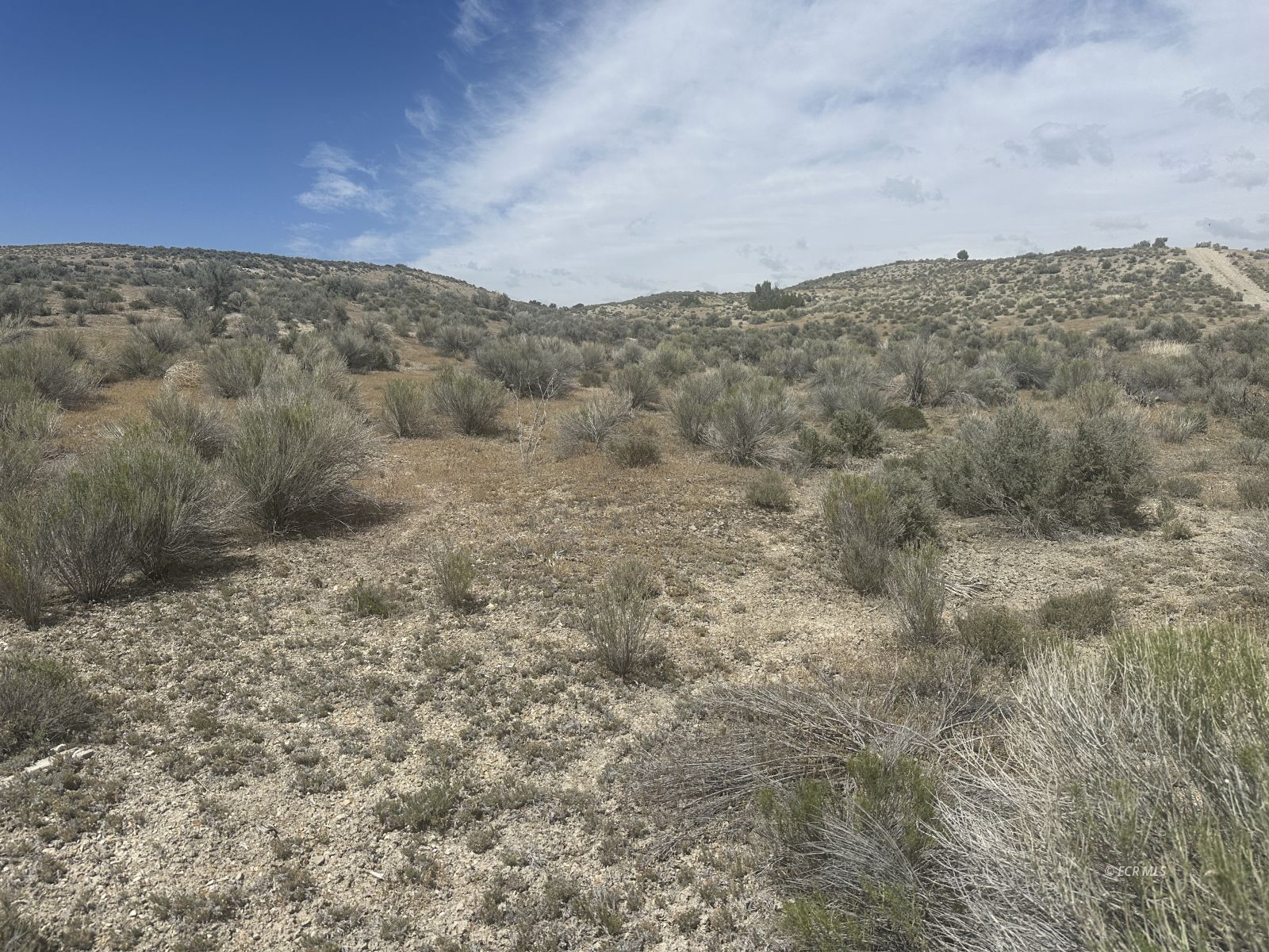 Pickering Property Photo 1