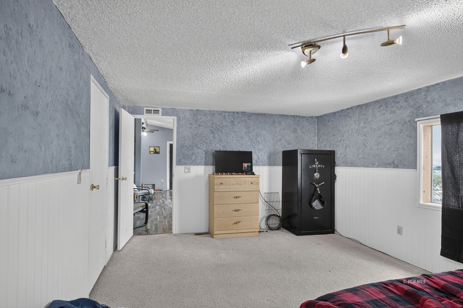 138 Springfield Parkway Property Photo 14