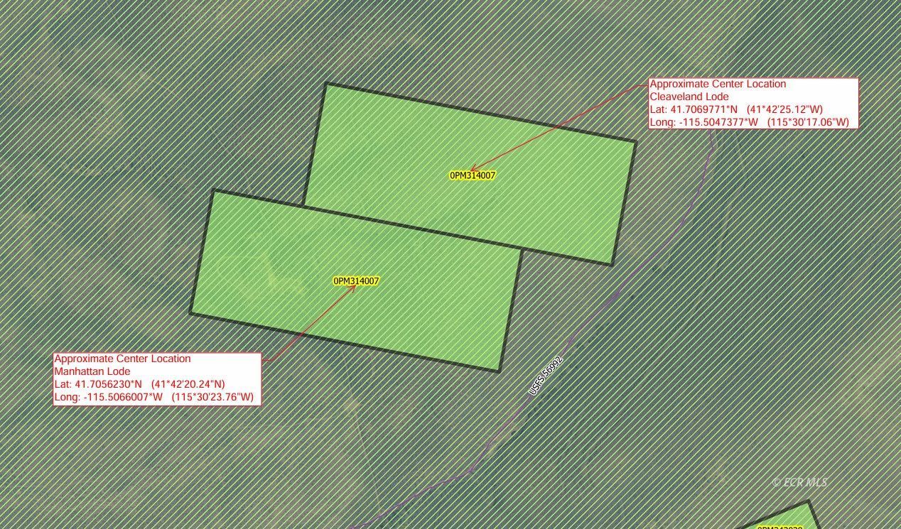 Parcel Jarbidge Charleston Road Property Photo 5