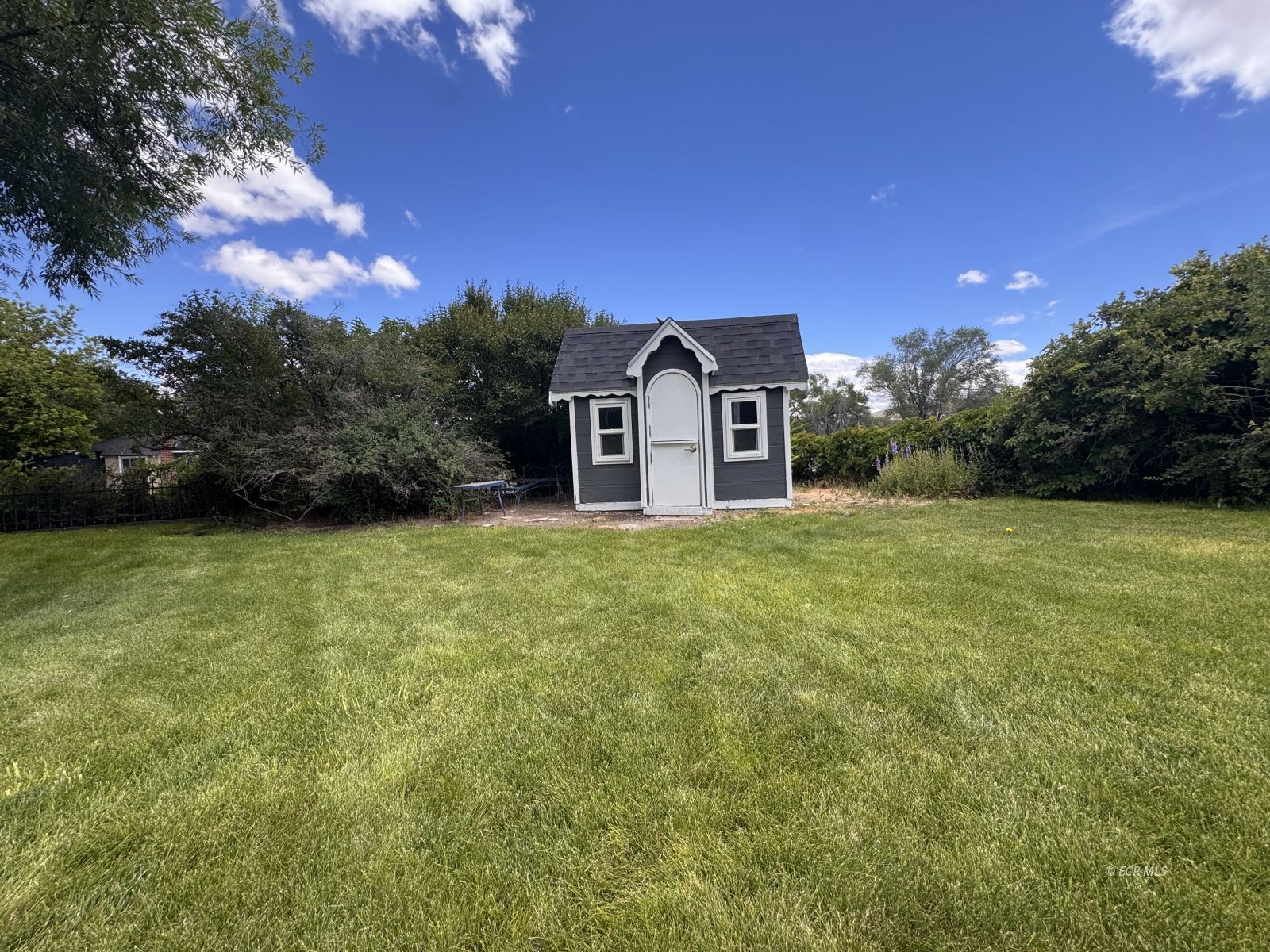 437 Pine Street Property Photo 47