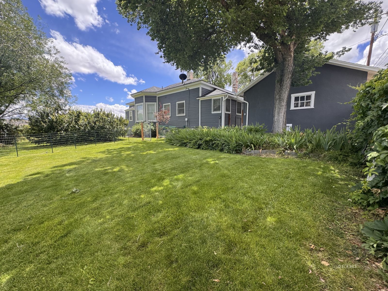 437 Pine Street Property Photo 48