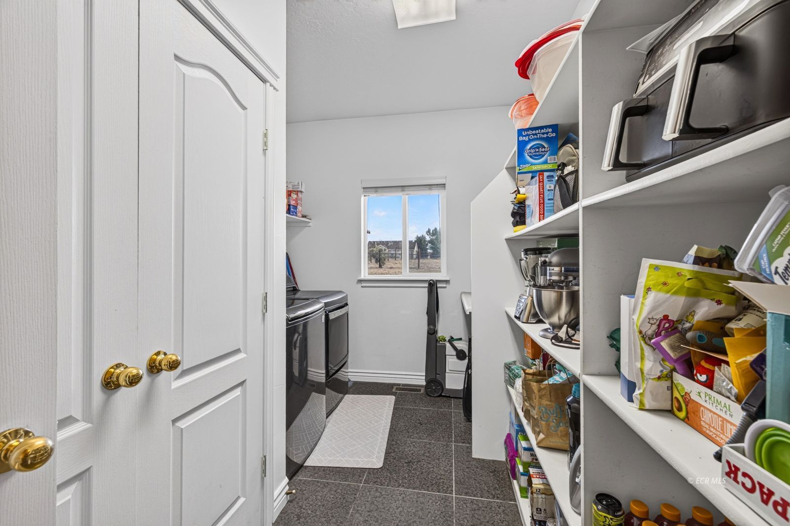 873 Thistle Drive Property Photo 17