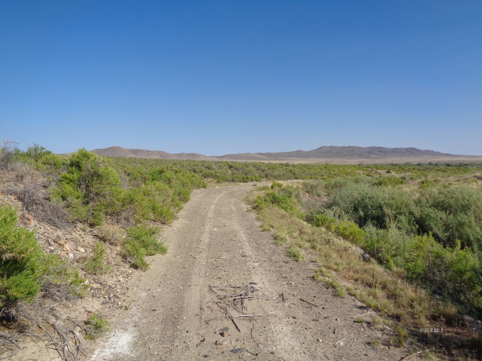 08003124 S26 T36m R40e Parcel Property Photo 19