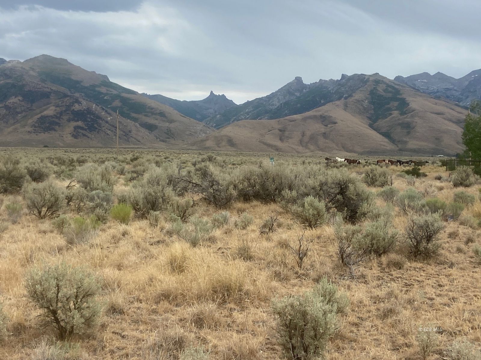 Tbd Lamoille Highway Property Photo 4
