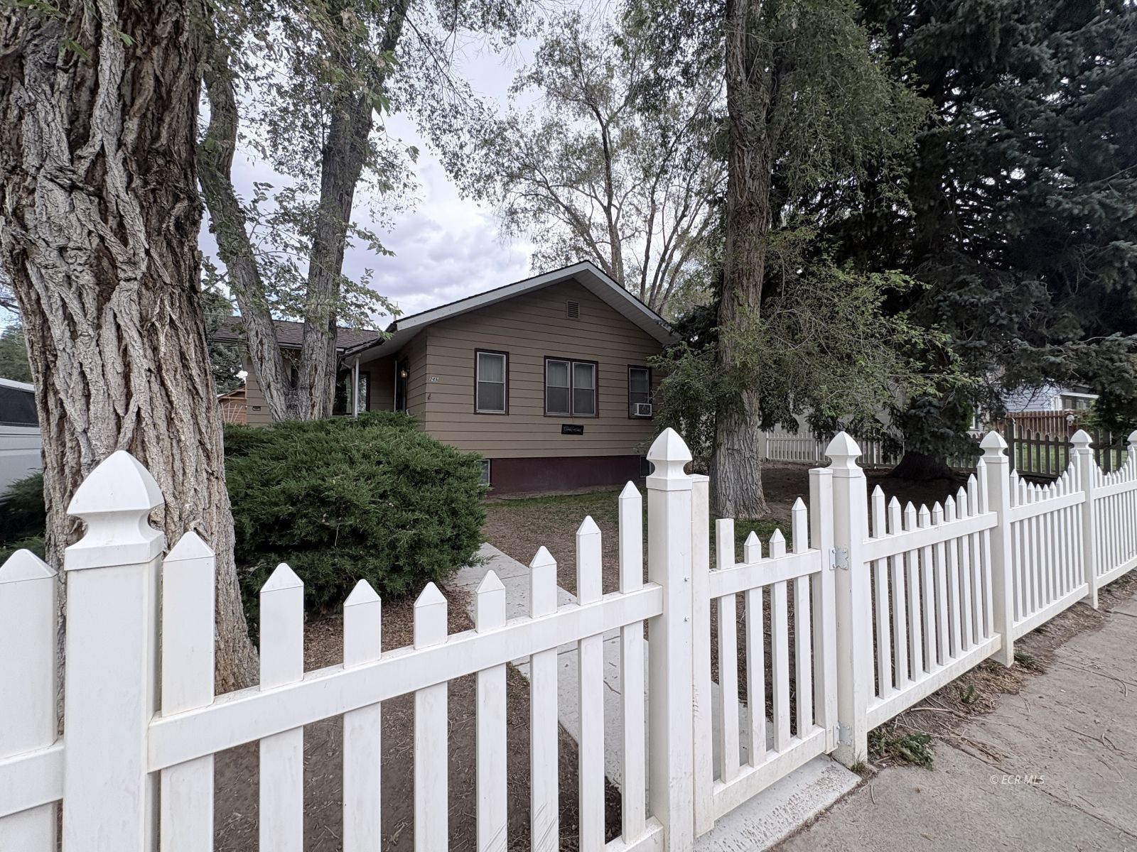 245 Ash Street Property Photo 3