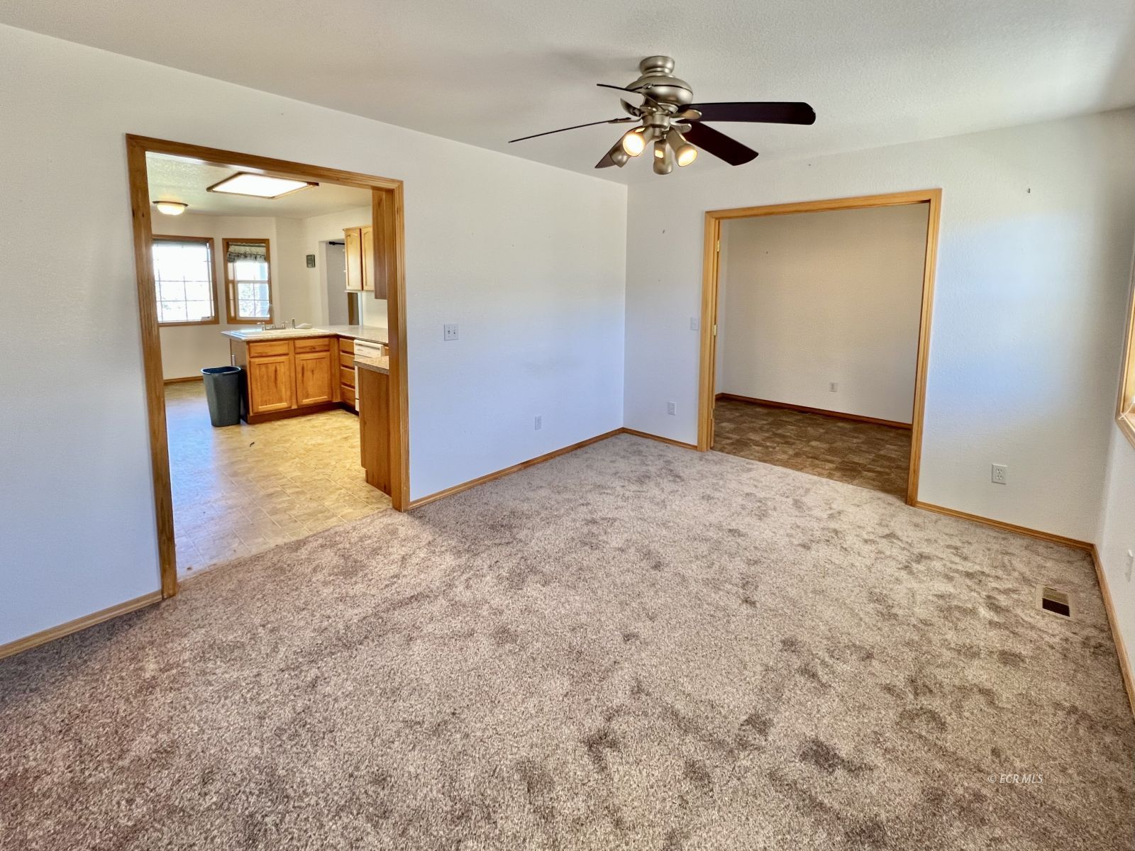 939 Palace Parkway Property Photo 6