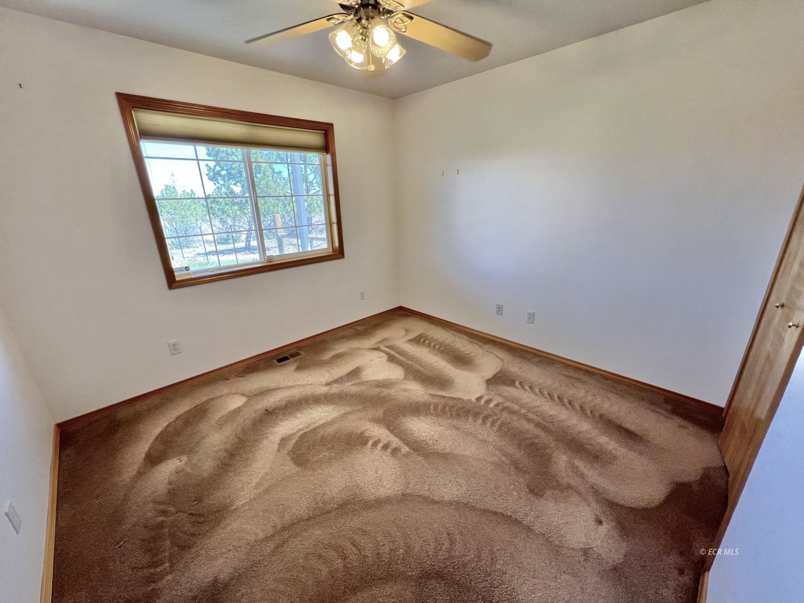 939 Palace Parkway Property Photo 16