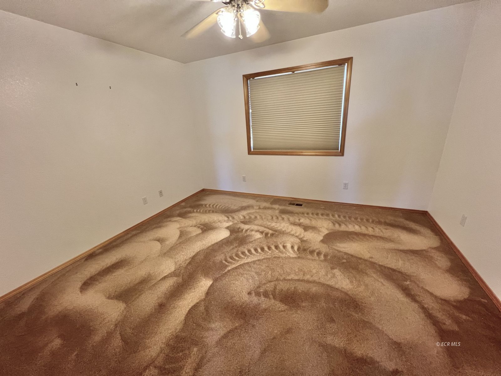 939 Palace Parkway Property Photo 20