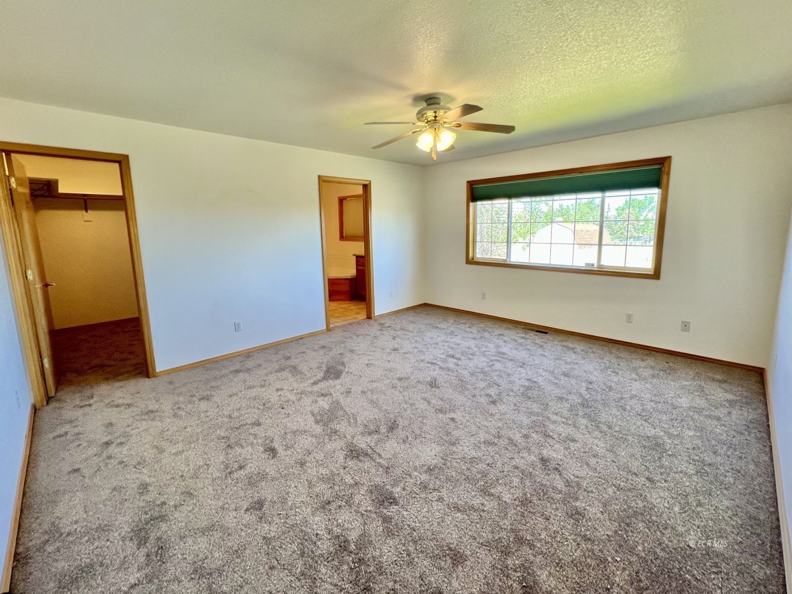 939 Palace Parkway Property Photo 22