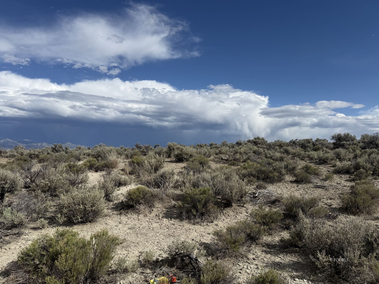 Tbd Canvasback Avenue Property Photo 1