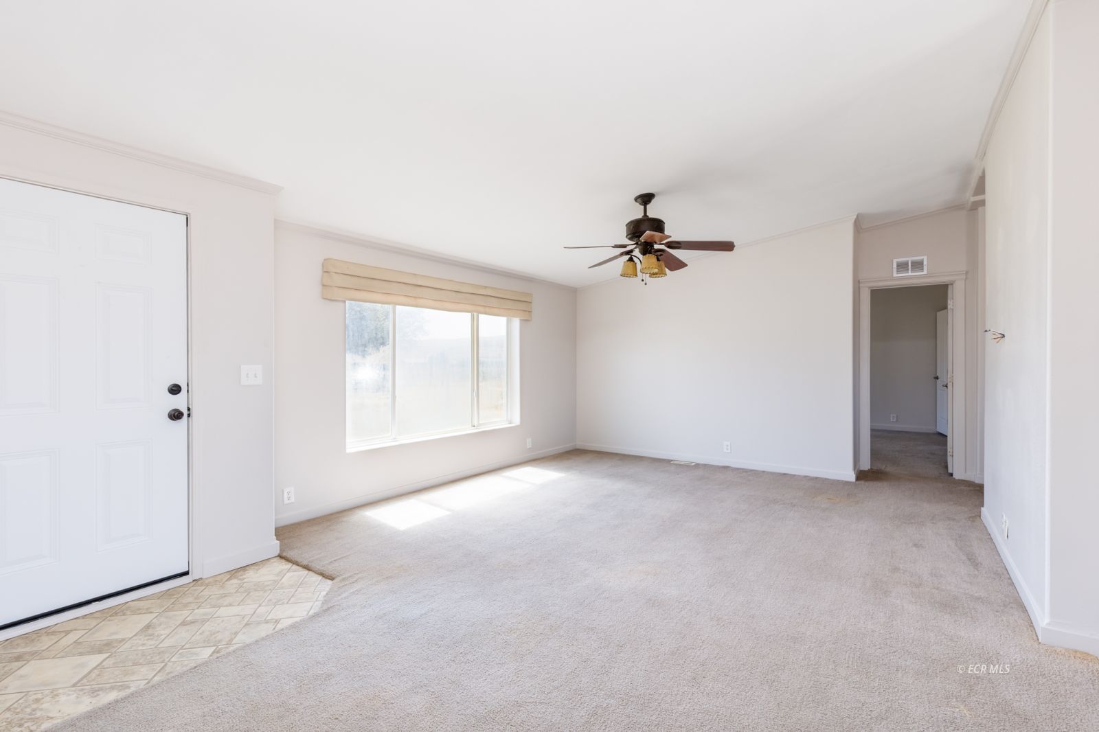 6957 Horsehaven Drive Property Photo 8