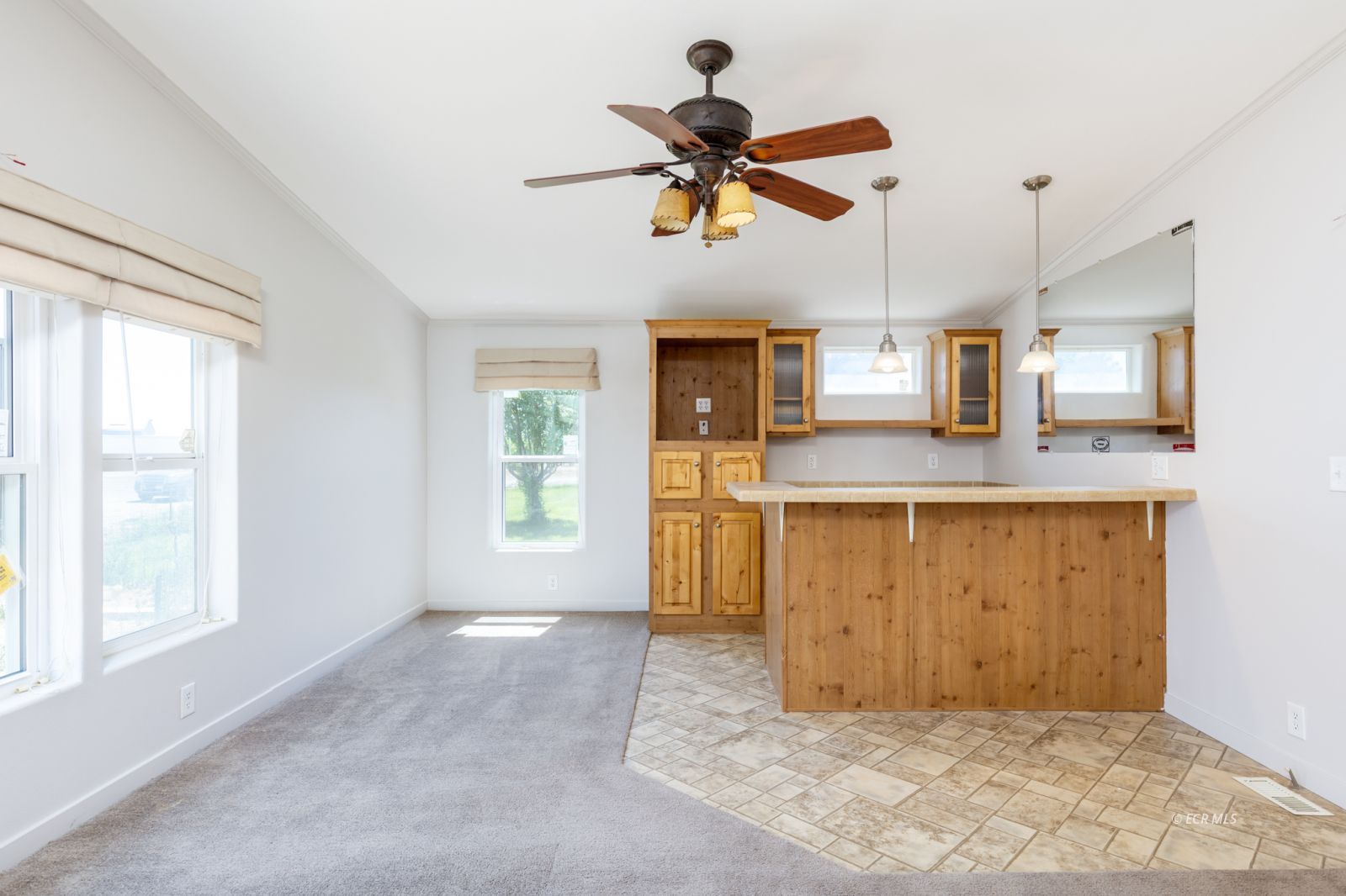 6957 Horsehaven Drive Property Photo 25