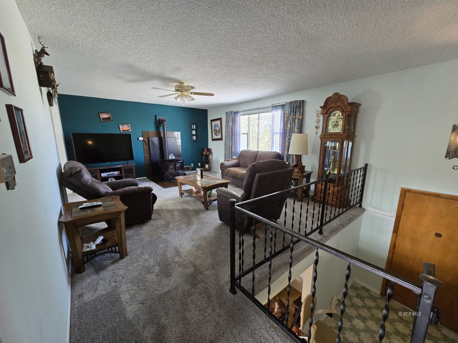 597 Shadybrook Drive Property Photo 7