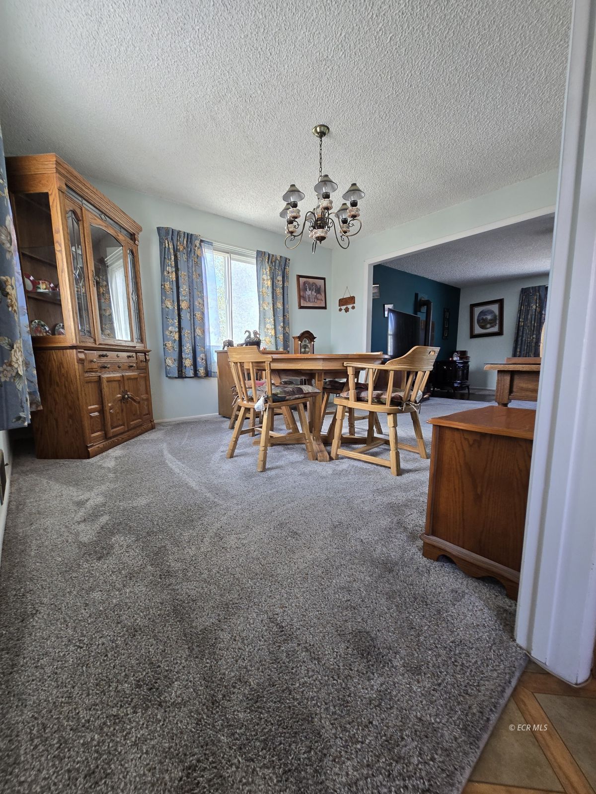 597 Shadybrook Drive Property Photo 9