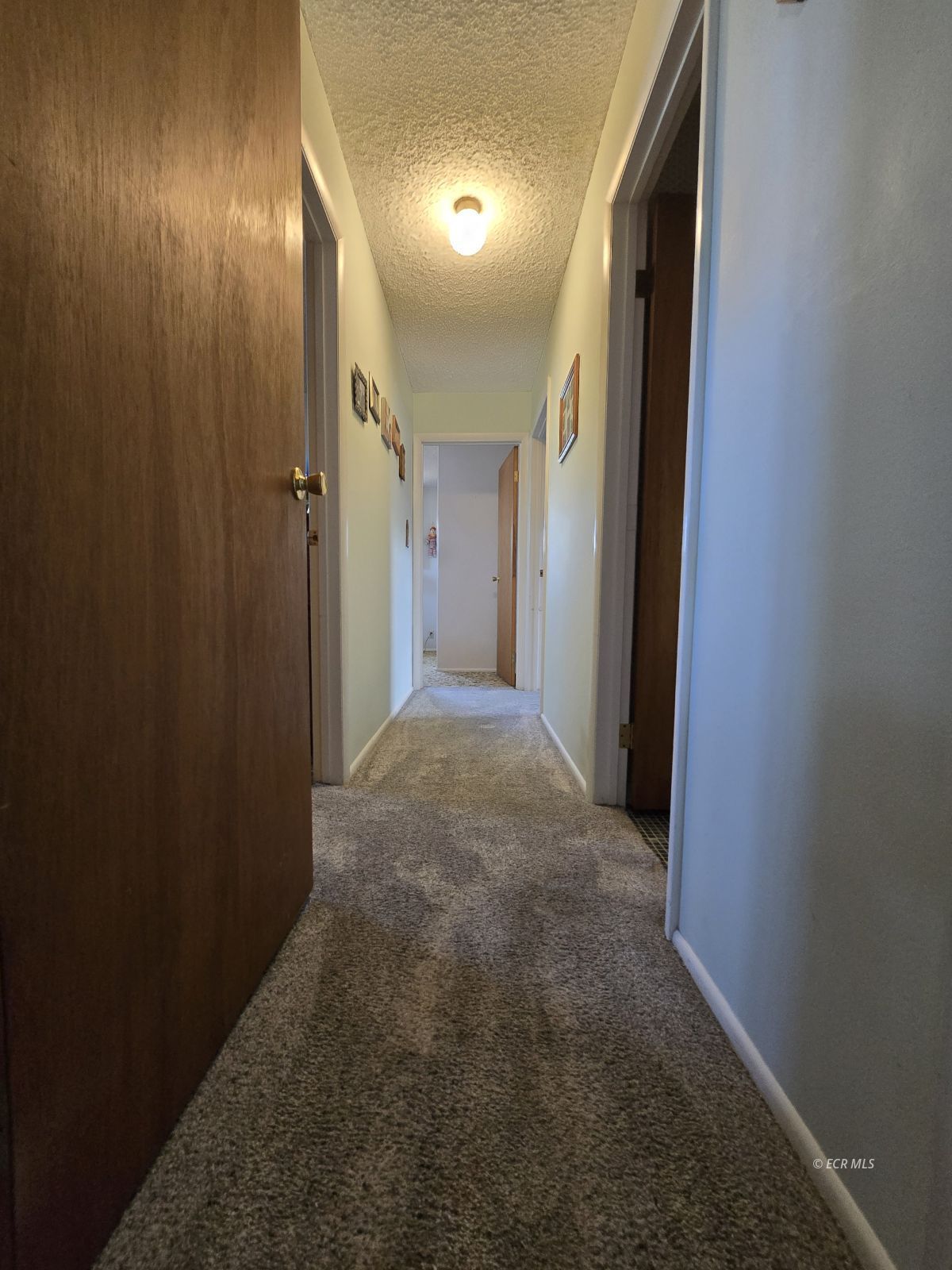 597 Shadybrook Drive Property Photo 14