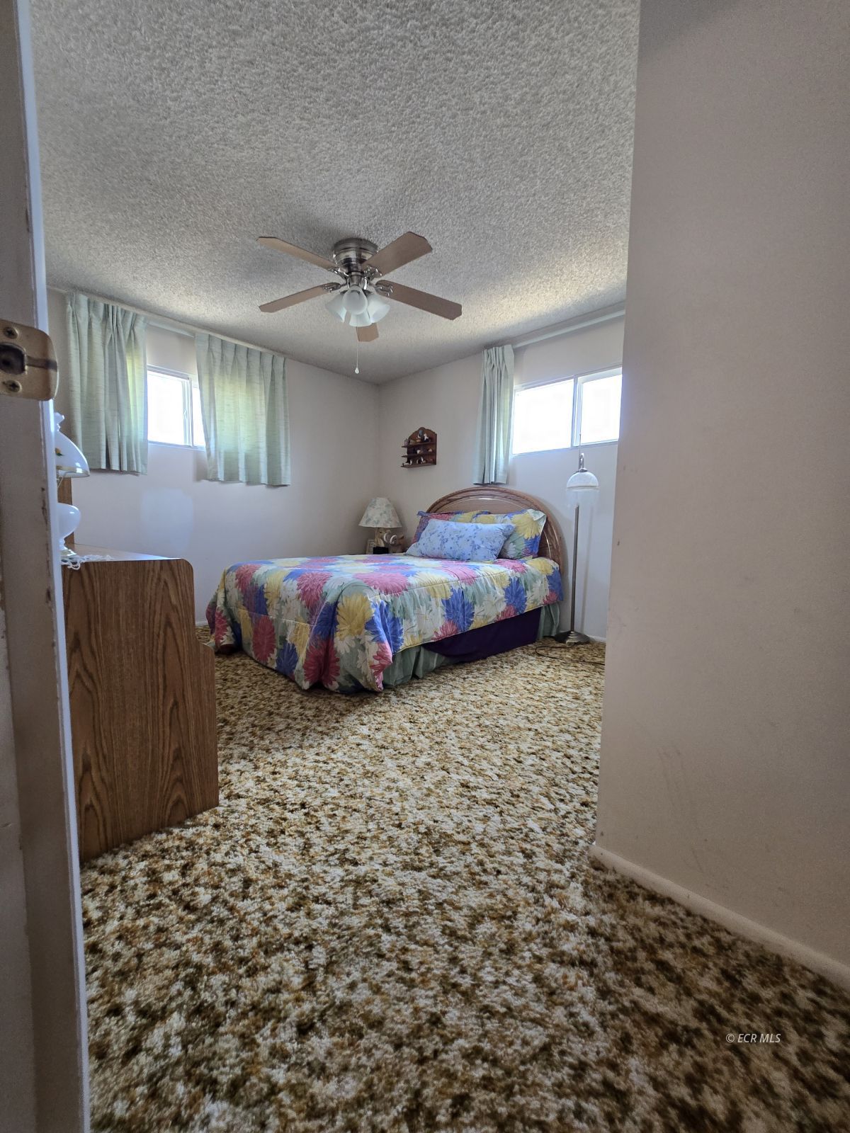 597 Shadybrook Drive Property Photo 17