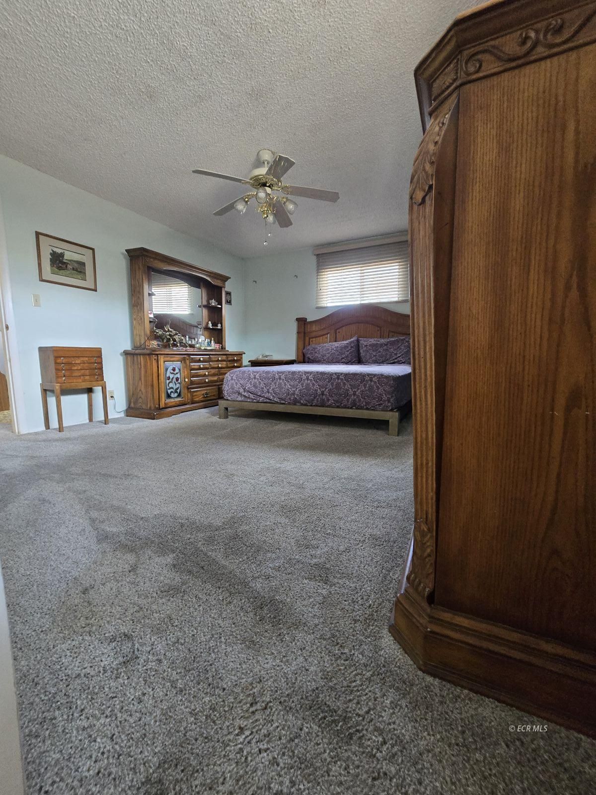 597 Shadybrook Drive Property Photo 19