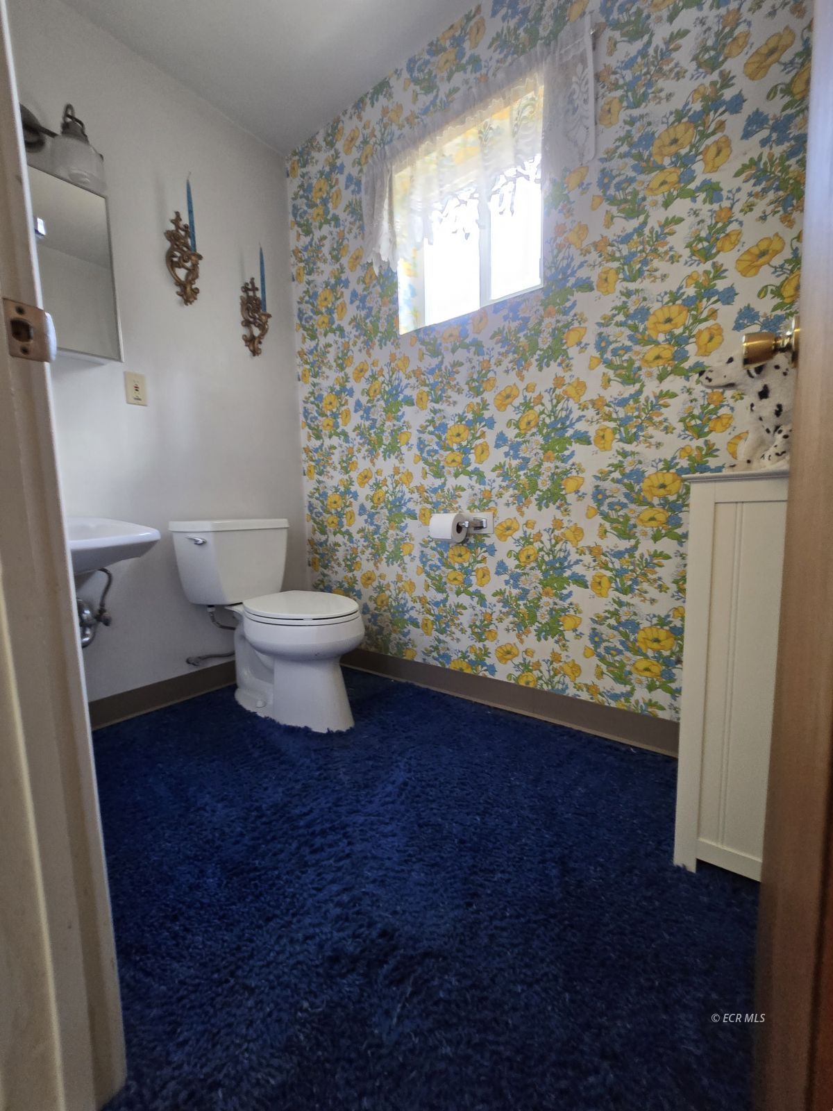 597 Shadybrook Drive Property Photo 23