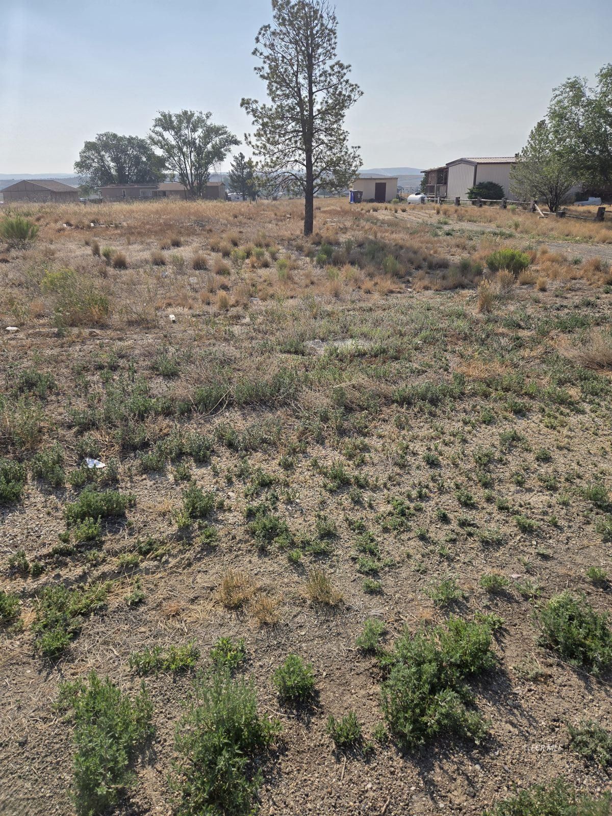 322 Dove Creek Drive Property Photo 7