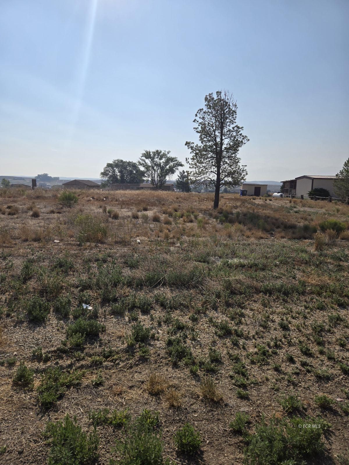 322 Dove Creek Drive Property Photo 12