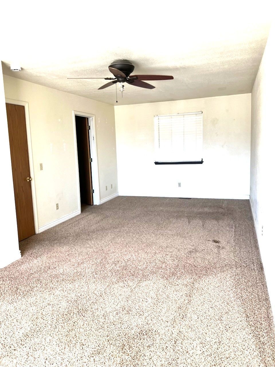 697 Clover Drive Property Photo 6