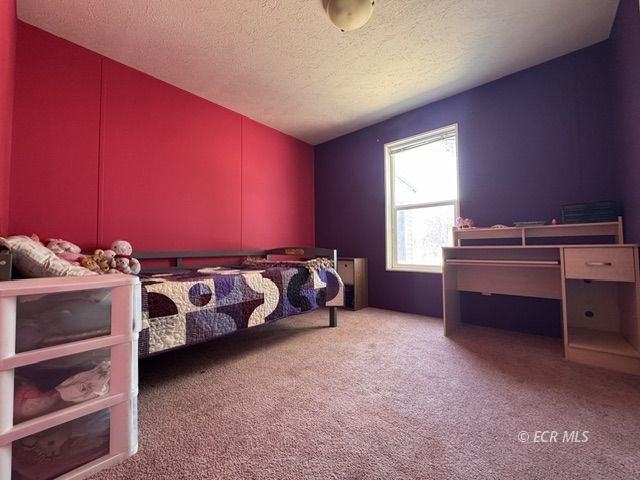 7024 Snake River Boulevard Property Photo 23