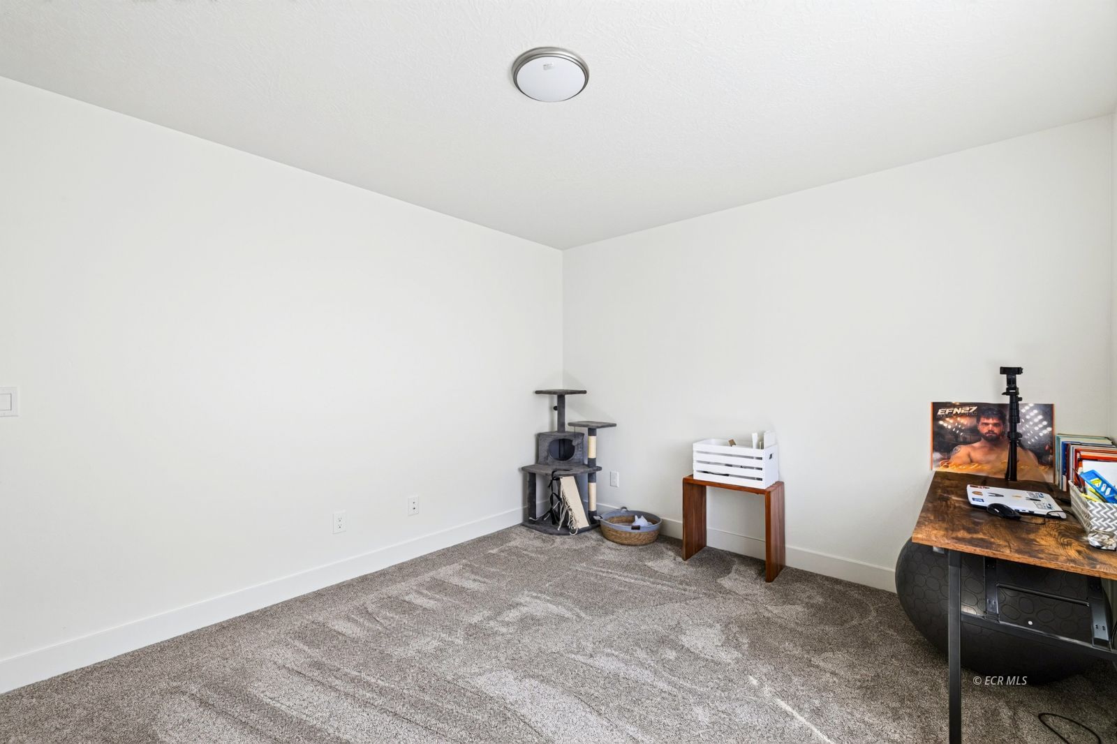 1486 Daisy Drive Property Photo 31