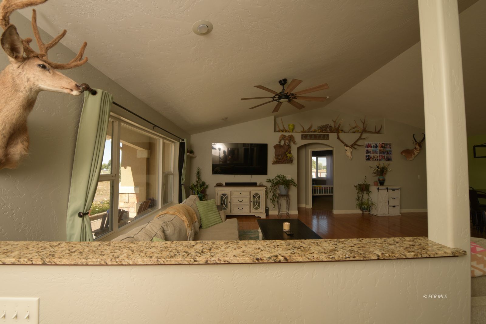 388 Lakeport Drive Property Photo 4