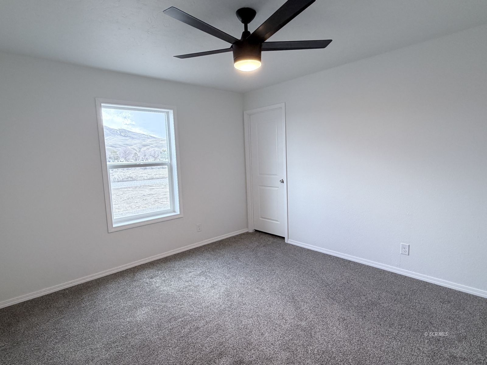 8337 Goldrush Drive Property Photo 19
