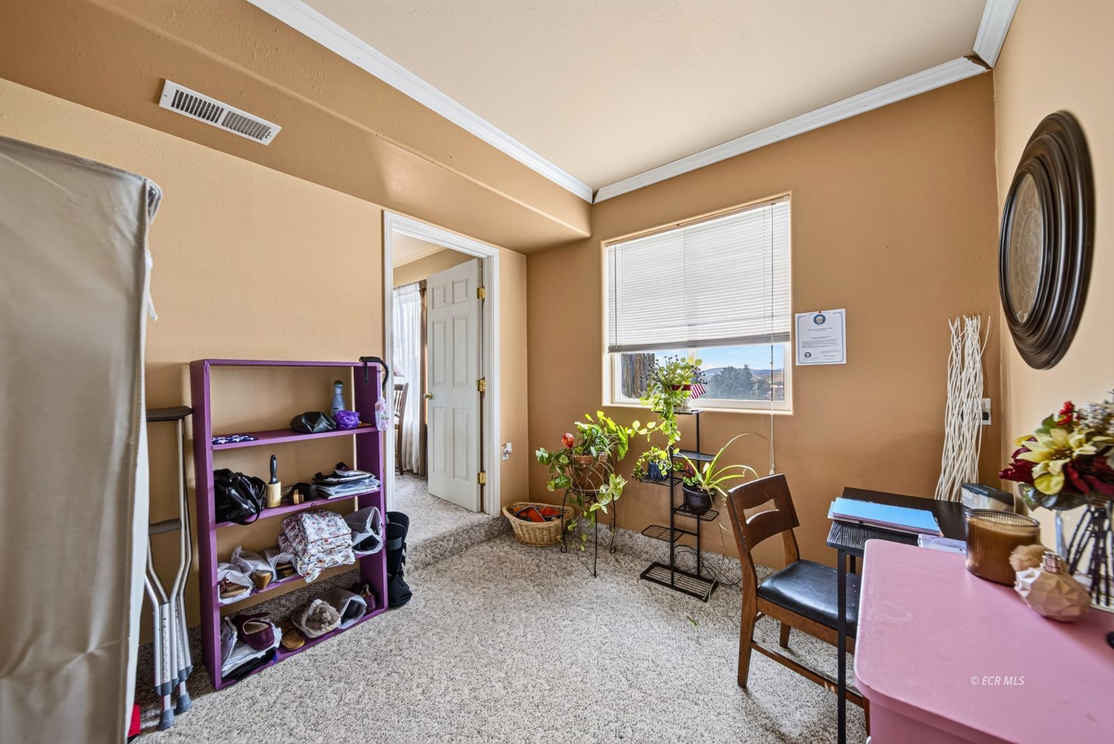 534 Spring Creek Parkway Property Photo 19