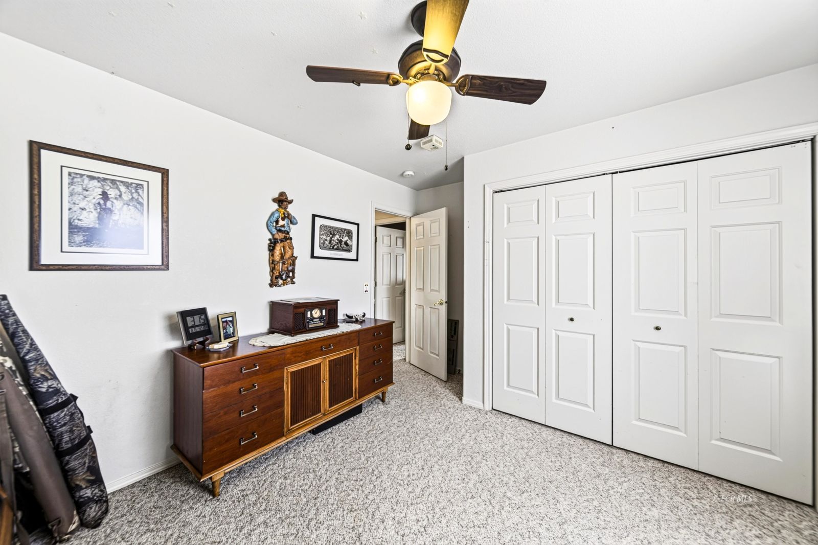 534 Spring Creek Parkway Property Photo 28