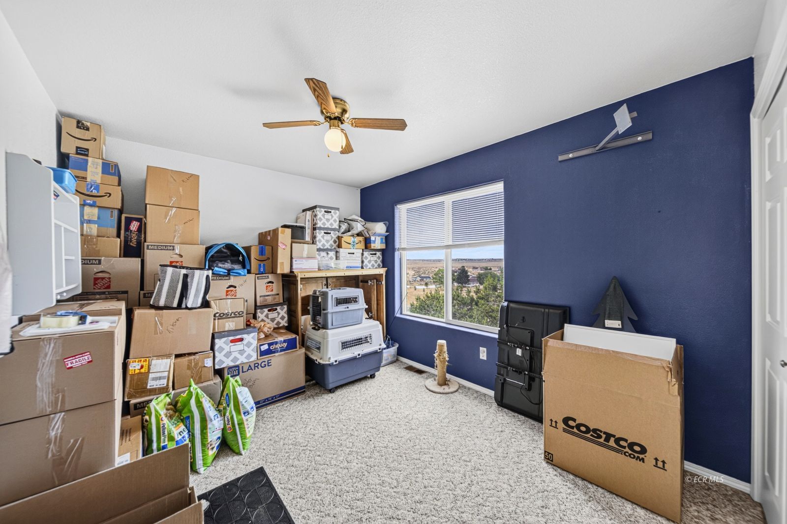 534 Spring Creek Parkway Property Photo 34