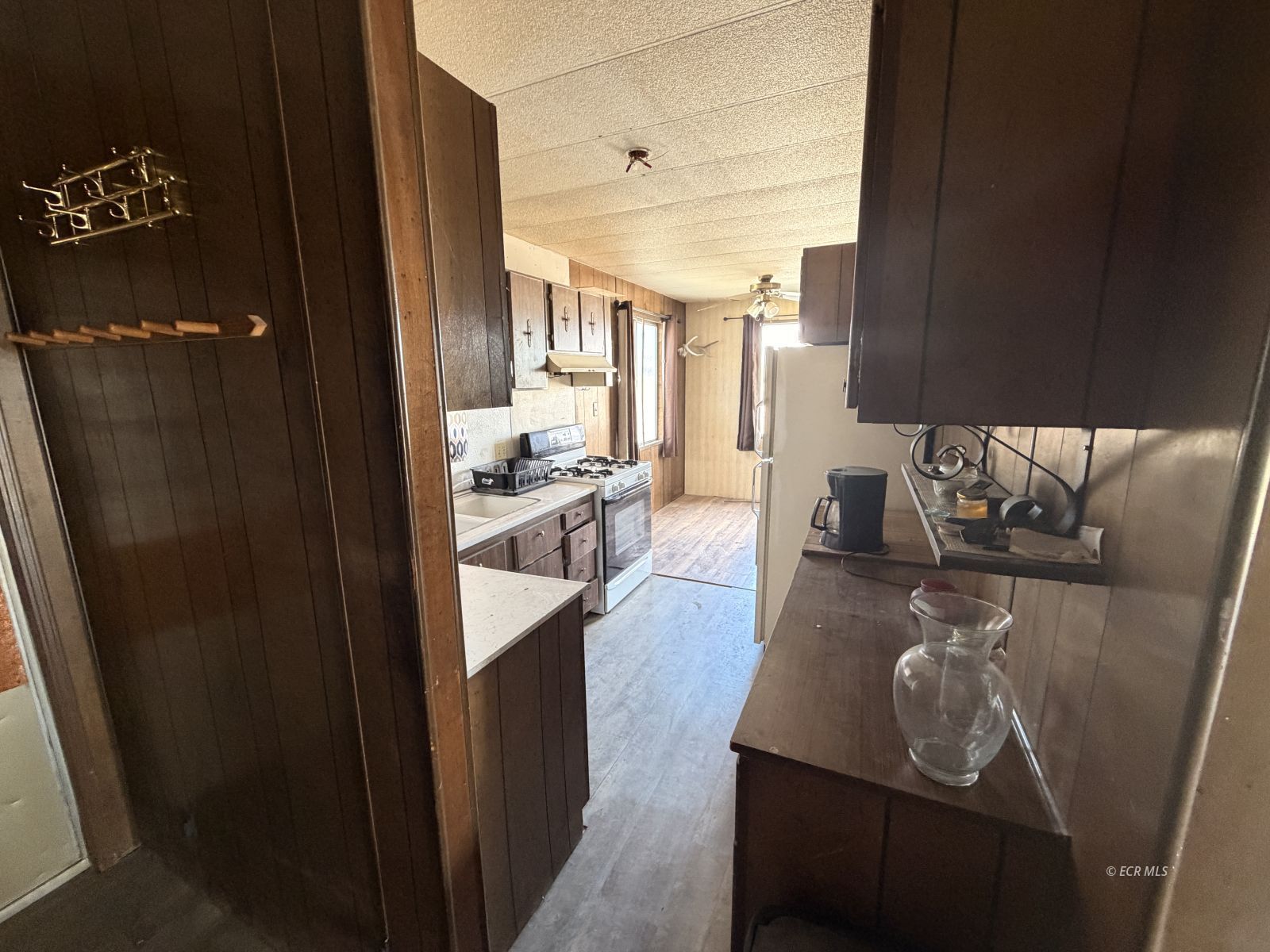 253 Dove Creek Court Property Photo 10