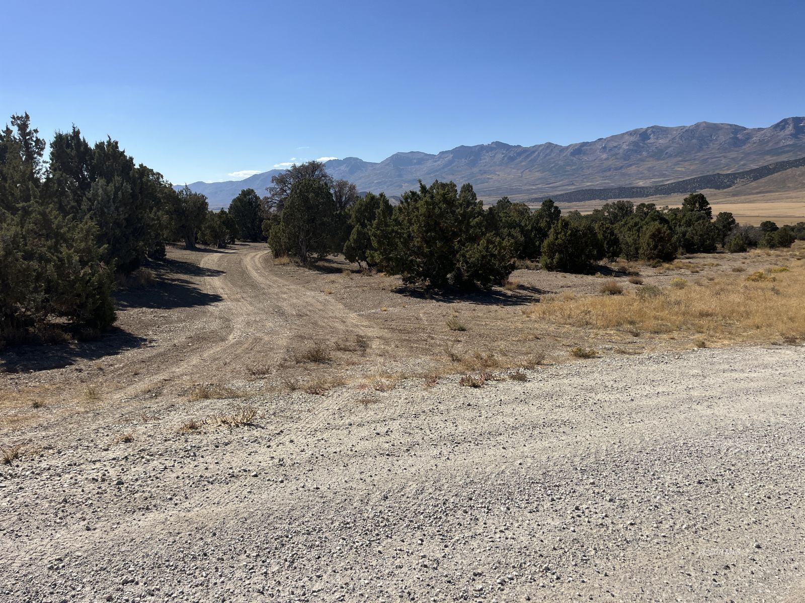 Rainbow Road Property Photo 10