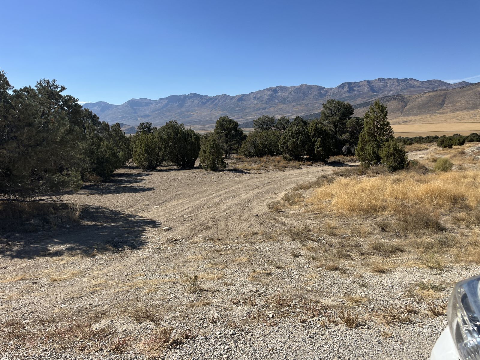 Rainbow Road Property Photo 11