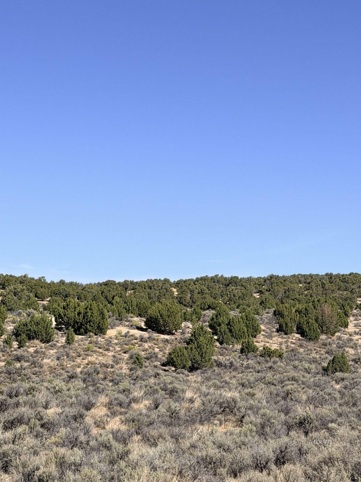 2.06 Acres O'Neal Avenue Property Photo 1