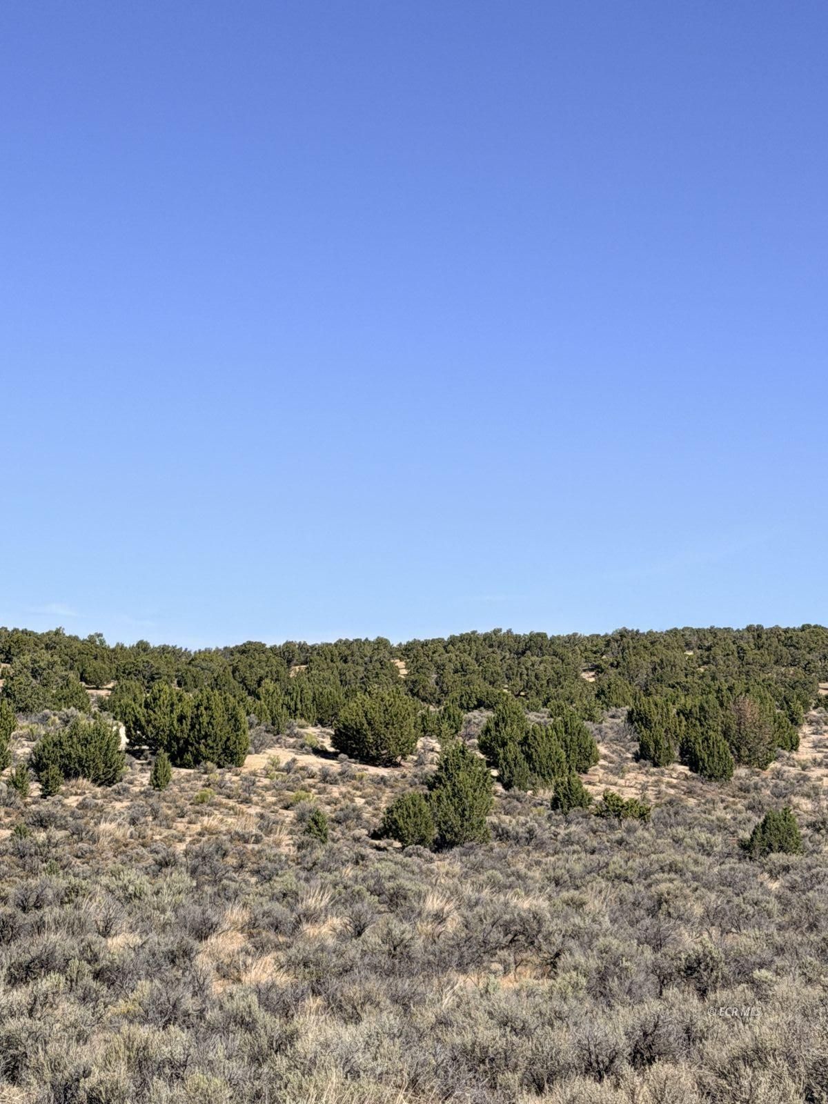 2.06 Acres Nevada Avenue Property Photo 1