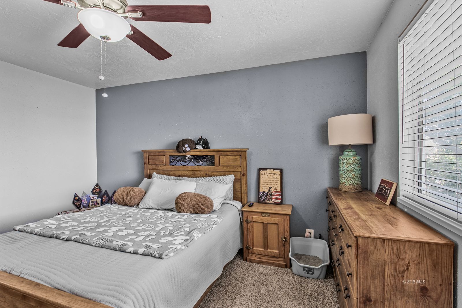 2424 Rodeo Court Property Photo 17