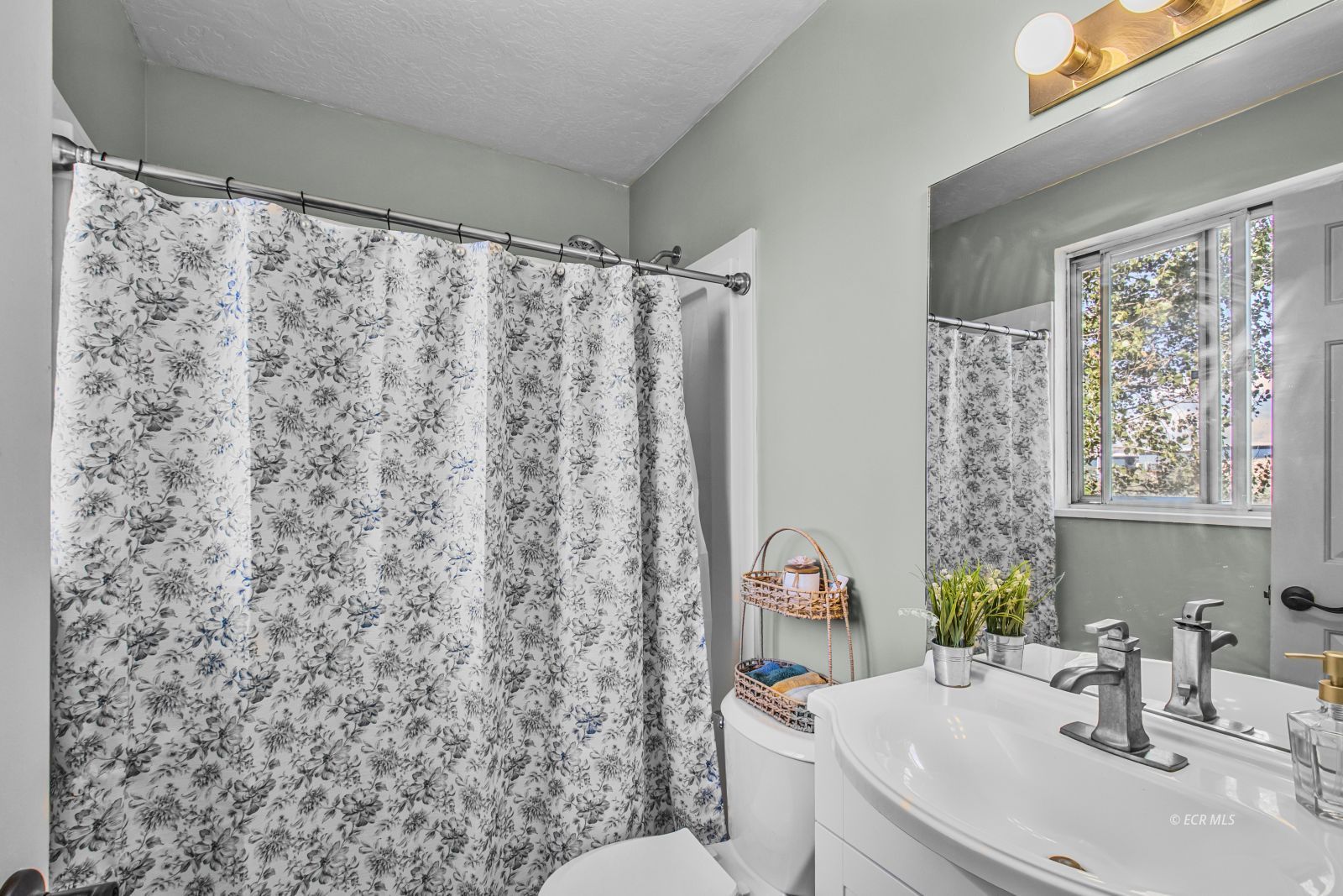 2424 Rodeo Court Property Photo 19